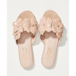 Nanette lepore sandal violeta🌸